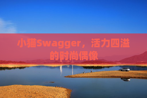 小猫Swagger，活力四溢的时尚偶像