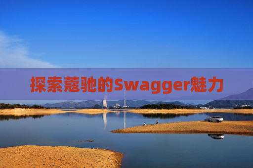 探索蔻驰的Swagger魅力