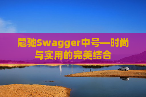 蔻驰Swagger中号—时尚与实用的完美结合