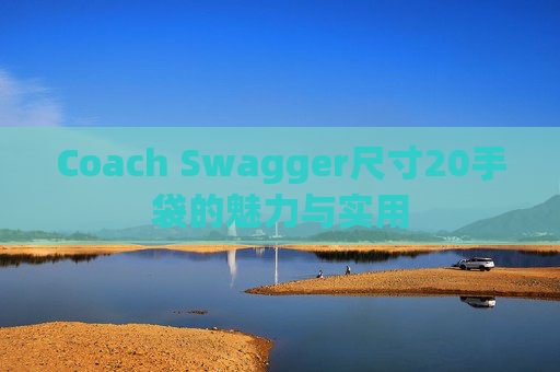 Coach Swagger尺寸20手袋的魅力与实用