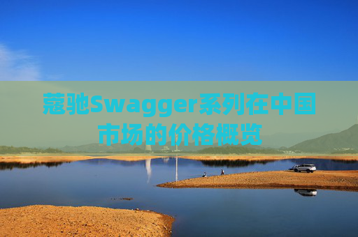 蔻驰Swagger系列在中国市场的价格概览