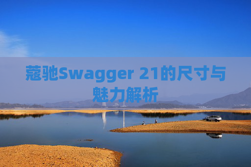 蔻驰Swagger 21的尺寸与魅力解析