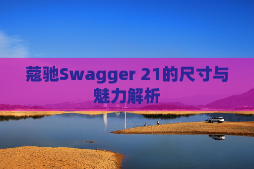 蔻驰Swagger 21的尺寸与魅力解析