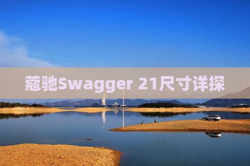 蔻驰Swagger 21尺寸详探
