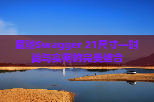 蔻驰Swagger 21尺寸—时尚与实用的完美结合
