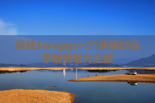 蔻驰Swagger 21黑银时尚手袋的魅力之旅