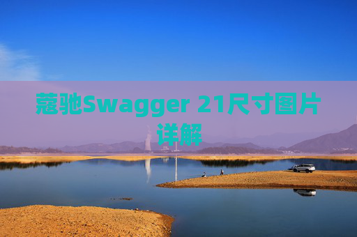 蔻驰Swagger 21尺寸图片详解