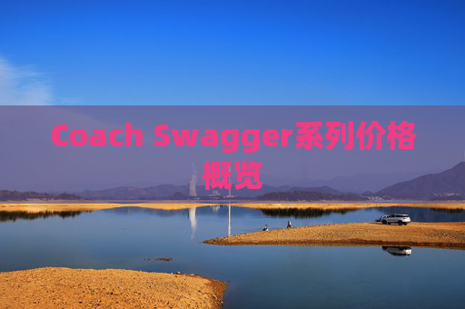 Coach Swagger系列价格概览