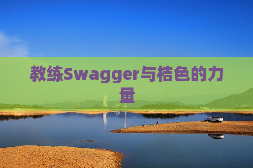 教练Swagger与桔色的力量