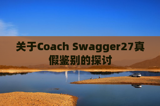 关于Coach Swagger27真假鉴别的探讨