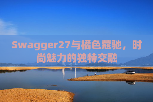 Swagger27与橘色蔻驰，时尚魅力的独特交融