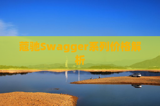 蔻驰Swagger系列价格解析