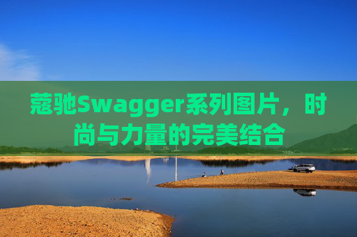 蔻驰Swagger系列图片，时尚与力量的完美结合